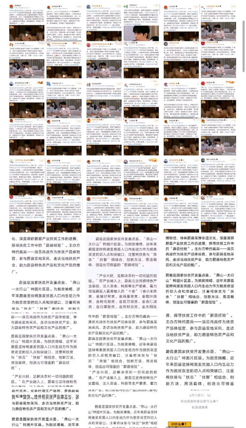 黄大仙精准六肖免费资料|预测分析解释落实_潮流版IP.5.458